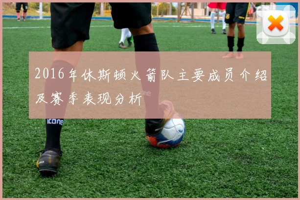 2016年休斯顿火箭队主要成员介绍及赛季表现分析