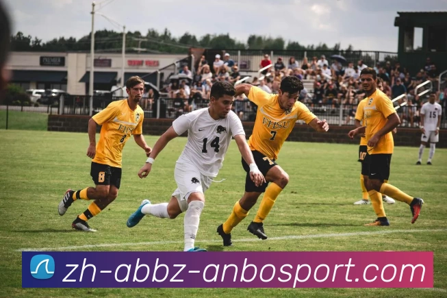 多媒体互动体验